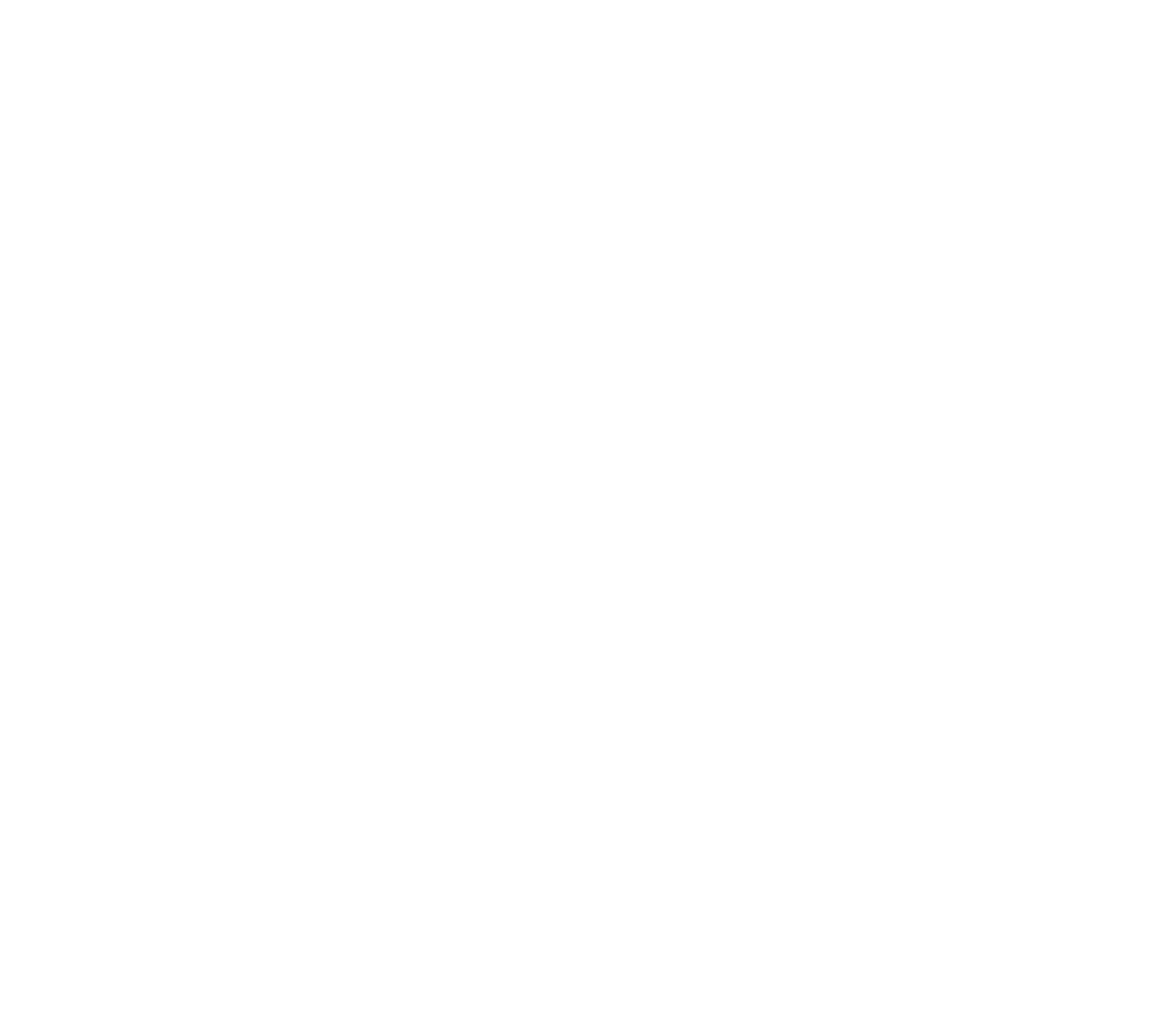 A modern take on the `Iwa bird incorporating the Mauna to represent our organizations purpose and values.
